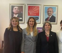 ELVAN IŞIK GEZMİŞ, “EŞİT, ÖZGÜR, ŞİDDETSİZ BiR DÜNYA