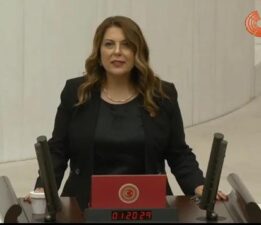 ELVAN IŞIK GEZMİŞ; SORU ÖNERGELERİMİ VERDİM