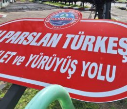 BÖLGEMİZİN VE İLÇEMİZİN DEĞERLERİNİN İSMİ VERİLSİN.