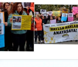 BULANCAK BELEDİYESİ’NE KÖPEK KATLİAMI TEPKİSİ