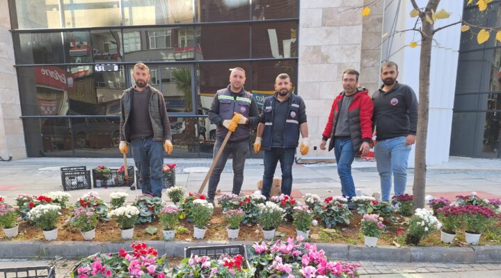 BULANCAK, KENDİ ÇİÇEKLERİYLE KIŞA RENK KATIYOR