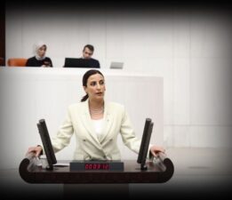 İSTANBUL MİLLETVEKİLİ EVRİM RIZVANOĞLU GİRESUNDA Kİ ÇEVRE TAHRİBATINI TBMM’NE TAŞIDI.