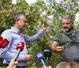 CHP’Lİ ŞENYÜREK: “FINDIKTA FİYAT 250 LİRADAN AZ OLMAMALI”