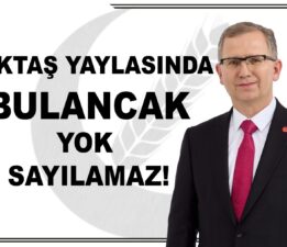BEKTAŞ YAYLASI ALINAN KARAR BÜYÜK BİR ŞAŞKINLIK VE ÜZÜNTÜ YAŞATTI.