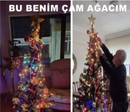 BU BENİM ÇAM AĞACIM