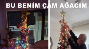 BU BENİM ÇAM AĞACIM