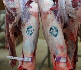 BULANCAK BELEDİYE MEZBAHANESİNDE RAMAZAN HASSASİYETİ!