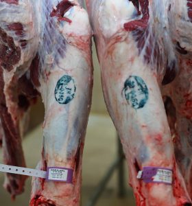 BULANCAK BELEDİYE MEZBAHANESİNDE RAMAZAN HASSASİYETİ!