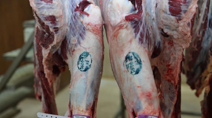 BULANCAK BELEDİYE MEZBAHANESİNDE RAMAZAN HASSASİYETİ!