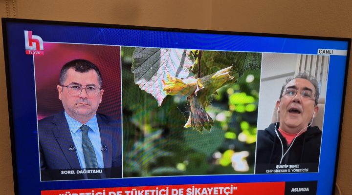 FINDIK MASADA, EMEK EKRANDA