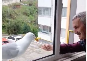 GİRESUN’DA YAŞANAN GERÇEK OLAY HERKESİ DUYGULANDIRDI