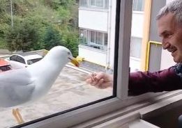 GİRESUN’DA YAŞANAN GERÇEK OLAY HERKESİ DUYGULANDIRDI