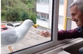 GİRESUN’DA YAŞANAN GERÇEK OLAY HERKESİ DUYGULANDIRDI