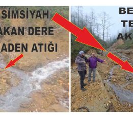 GİRESUN’DA DOĞA KATLİAMI DURMUYOR