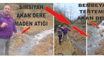GİRESUN’DA DOĞA KATLİAMI DURMUYOR