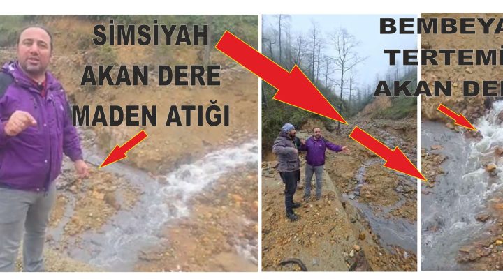 GİRESUN’DA DOĞA KATLİAMI DURMUYOR