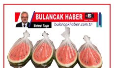 BULANCAK’TA 4 HİSSELİ KARPUZ DİPLOMASİSİ: BAYRAMIN EN SERİN ORTAKLIĞI