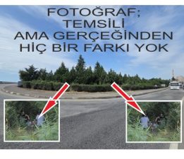 BULANCAK’TA GÖZLERDEN UZAK KALAN YEŞİL ALAN ENDİŞE YARATIYOR