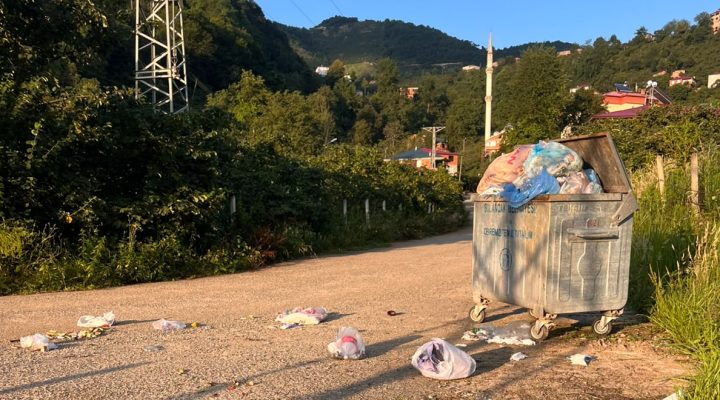 KÖYLER ÇÖP ALTINDA! FINDIK SEZONU VE YAZ YOĞUNLUĞU KONTEYNERLERİ TAŞIRDI