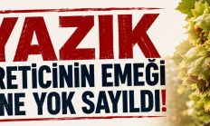 ELVAN IŞIK GEZMİŞ’TEN FINDIK FİYATINA SERT TEPKİ: “YAZIK… ÇOK YAZIK!”