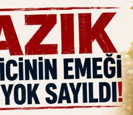 ELVAN IŞIK GEZMİŞ’TEN FINDIK FİYATINA SERT TEPKİ: “YAZIK… ÇOK YAZIK!”