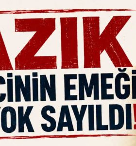 ELVAN IŞIK GEZMİŞ’TEN FINDIK FİYATINA SERT TEPKİ: “YAZIK… ÇOK YAZIK!”