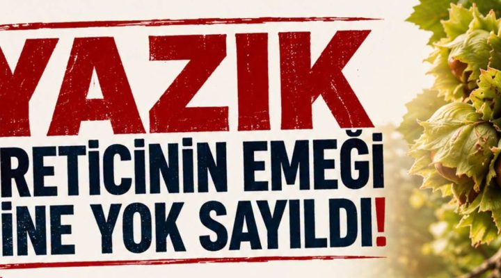 ELVAN IŞIK GEZMİŞ’TEN FINDIK FİYATINA SERT TEPKİ: “YAZIK… ÇOK YAZIK!”