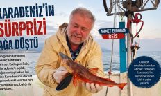 AHMET ERDOĞAN REİS’İN TEKNESİNDEN KIRLANGIÇ ÇIKTI