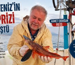 AHMET ERDOĞAN REİS’İN TEKNESİNDEN KIRLANGIÇ ÇIKTI
