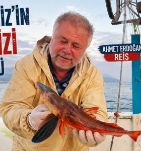 AHMET ERDOĞAN REİS’İN TEKNESİNDEN KIRLANGIÇ ÇIKTI