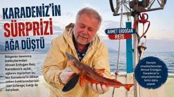 AHMET ERDOĞAN REİS’İN TEKNESİNDEN KIRLANGIÇ ÇIKTI