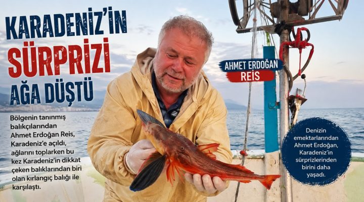 AHMET ERDOĞAN REİS’İN TEKNESİNDEN KIRLANGIÇ ÇIKTI