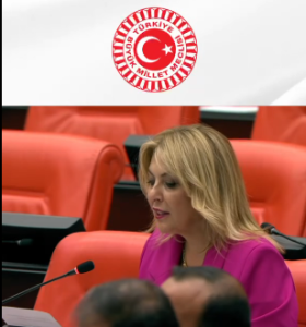 TBMM’DE! ELVAN IŞIK’TAN GÜNEY ÇEVRE YOLU ÇAĞRISI