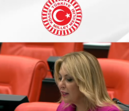 TBMM’DE! ELVAN IŞIK’TAN GÜNEY ÇEVRE YOLU ÇAĞRISI