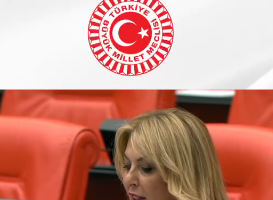 TBMM’DE! ELVAN IŞIK’TAN GÜNEY ÇEVRE YOLU ÇAĞRISI