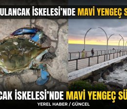 BULANCAK İSKELESİ’NDE GECENİN SÜRPRİZİ: MAVİ YENGEÇ!