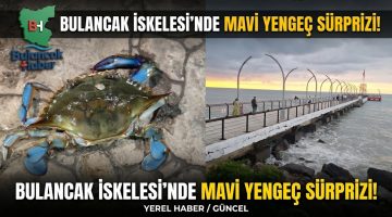 BULANCAK İSKELESİ’NDE GECENİN SÜRPRİZİ: MAVİ YENGEÇ!