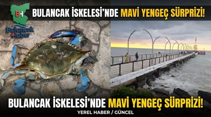 BULANCAK İSKELESİ’NDE GECENİN SÜRPRİZİ: MAVİ YENGEÇ!