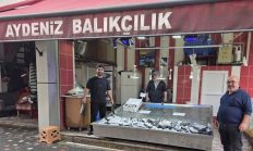 BULANCAK’TA AYDENİZ BALIKÇILIKTA PALAMUT BEREKETİ